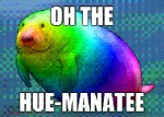 ambiguous_gender feral humor pun rainbow solo text visual_pun epilepsy_warning unknown_artist mammal manatee marine sirenian animated english_text image_macro impact_(font) low_res meme reaction_image short_playtime