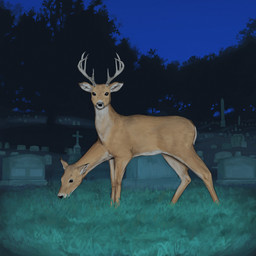 2_heads ambiguous_gender antlers cemetery cross detailed_background eating eating_grass feral fur grass horn looking_at_viewer multi_head night outside painterly plant quadruped shadow sky solo surrealism tombstone tree tuft avianvevo home_is_where deer mammal 1:1 2026 digital_media_(artwork) digital_painting_(artwork) hi_res painting_(artwork)