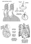 anatomy anthro anthro_pred big_breasts biped bloated bodily_fluids breasts covering covering_ears diagram digestion esophageal_sphincter esophagus featureless_face female female_anthro female_human female_pred female_prey forced fully_inside guts heart_(organ) heartbeat human_prey information inside_stomach internal intestines larger_pred long_neck lung male male_prey oral_vore organs semi-anthro silhouette size_difference smaller_prey spine stomach stomach_acid text thick_thighs unwilling_prey vore shyguy9 mythology ashe_(shyguy9) dragon human mammal mythological_creature mythological_scalie scalie digital_media_(artwork) english_text hi_res monochrome