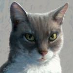 ambiguous_gender feral fur grey_body grey_fur photorealism pink_nose solo whiskers white_body white_fur yellow_eyes goldendruid domestic_cat felid feline felis mammal 1:1 2019 digital_media_(artwork) headshot_portrait icon portrait