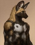 anthro blue_eyes brown_body brown_fur fur looking_at_viewer male muscular muscular_anthro muscular_male snout solo white_body white_fur unknown_artist african_wild_dog canid canine mammal absurd_res digital_media_(artwork) digital_painting_(artwork) hi_res painting_(artwork)