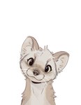 :3 ambiguous_gender curious feral fur head_tilt head_tuft inner_ear_fluff looking_at_viewer round_eyes simple_background smile smiling_at_viewer solo tuft whiskers white_background feve mammal mustelid musteline stoat true_musteline weasel 2024 digital_drawing_(artwork) digital_media_(artwork)