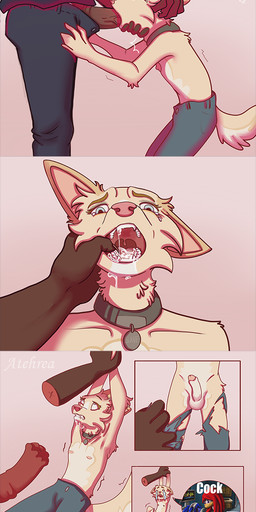 animal_genitalia animal_penis anthro asphyxiation balls bodily_fluids bottomwear choking clothed clothing collar collar_only deep_throat duo equine_genitalia equine_penis erection face_fucking fellatio femboy finger_fetish finger_in_mouth forced forced_oral foreskin gagging genital_fluids genitals humanoid_genitalia humanoid_penis humor imminent_sex irrumatio lifted male male/male male_penetrating manly mouth_hold neck_bulge nipples nude open_mouth oral oral_penetration pants penetration penile penis penis_in_mouth saliva scared sex simple_background size_difference skinny tongue torn_clothing atehrea ariel_(atehrea) canid canine equid equine fennec_fox fox horse mammal true_fox digital_media_(artwork) hi_res meme