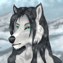 anthro black_hair detailed_background fur green_eyes grey_sky hair long_hair male mountain realistic sky snow solo sparkles white_body white_fur zhekathewolf jurgen_armstark canid canine canis mammal wolf 1:1 bust_portrait hi_res icon portrait