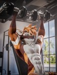 abs anthro biceps dumbbell exercise fur gym hair male muscle_tone muscular muscular_anthro muscular_male nude nude_male pecs solo teeth weightlifting weights workout mrgaleo blender_cycles canid canine mammal rexouium 3:4 3d_(artwork) blender_(artwork) digital_media_(artwork) hi_res