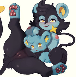 areola backsack balls bedroom_eyes black_body black_butt black_fur black_hair black_tail black_vulva blue_body blue_breasts blue_ears blue_fur blue_hair blue_paws blush body_blush breasts busty_feral butt cheek_tuft dipstick_tail duo ear_tuft eyelashes facial_tuft female feral fur genitals hair long_eyelashes looking_at_viewer male male/female markings narrowed_eyes neck_tuft nipples open_mouth pawpads paws penis pink_areola pink_nipples pink_nose presenting presenting_vulva raised_leg red_pawpads round_ears seductive simple_background small_nose smile smiling_at_viewer spread_legs spreading tail tail_markings teeth tuft vulva vulva_blush white_background yellow_eyes yellow_inner_ear yellow_tail_tip marzuyo nintendo pokemon generation_4_pokemon luxio pokemon_(species) shinx 2025 colored digital_drawing_(artwork) digital_media_(artwork) hi_res