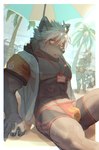 abs anthro areola beach bodily_fluids brown_body brown_fur clothing fur hair looking_away male muscular muscular_anthro muscular_male palm_tree plant sea seaside sitting solo sweat swimwear tree water white_hair biri lifewonders tokyo_afterschool_summoners seth_(tas) tadatomo_(tas) canid canine canis domestic_dog jackal mammal 2023 hi_res