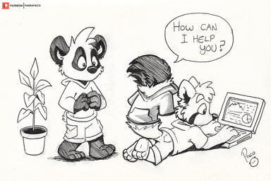 anthro bottomwear cheek_tuft clothing computer duo electronics facial_tuft hoodie laptop logo lying male on_front plant plant_pot potted_plant shorts speech_bubble standing text topwear tuft young young_anthro young_male pandapaco parinton ailurid bear giant_panda mammal red_panda artist_logo english_text monochrome signature sketch