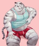 anthro blush bottomwear bulge clothing fur humanoid_hands kemono male musclegut muscular overweight overweight_male pink_background shirt shorts simple_background sitting solo topwear white_body white_fur sv_grart felid mammal pantherine tiger 2021 hi_res