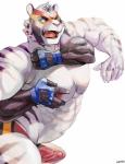 abs anthro biceps bulge clothed clothing duo erection fur grope male male/male mask muscular muscular_male nipples open_mouth pecs penis sex solo_focus teeth topless wrestler wrestling kalchivo felid mammal pantherine tiger 2018 digital_media_(artwork) hi_res