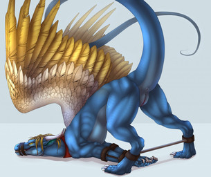 andromorph anus bdsm bondage bound butt feathers feral genitals intersex looking_at_viewer muzzle_(object) muzzled nude presenting presenting_hindquarters restraints rope solo spread_legs spreader_bar spreading submissive submissive_andromorph submissive_intersex tail vulva wings yellow_body yellow_feathers anora_drakon mythology levant_lazuli dragon feathered_dragon feathered_scalie mythological_creature mythological_scalie scalie 2018