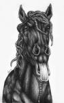 ambiguous_gender feral front_view looking_at_viewer mane open_mouth quadruped simple_background snout solo tongue tongue_out white_background balorkin equid equine horse mammal 2014 black_and_white bust_portrait monochrome pen_(artwork) portrait signature traditional_media_(artwork)