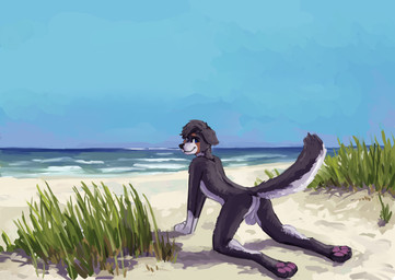 all_fours anthro backsack balls beach butt casual_nudity clothing feet fur genitals looking_at_viewer male nude outdoor_nudity outside pawpads plant seaside sky smile solo swimwear tail toes water tazal canid canine canis domestic_dog mammal absurd_res digital_media_(artwork) hi_res