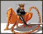anthro arm_wraps armor bared_teeth big_breasts boob_armor bottomwear breasts chest_armor clothing crouching eyebrows female gauntlets gloves handwear holding_object holding_weapon loincloth long_eyebrows melee_weapon snarling solo sword thick_thighs weapon wraps hiverdose last_fables lieren_(last_fables) felid leopard mammal pantherine hi_res