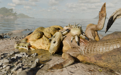 animal_genitalia beach bodily_fluids cloaca cloud cloudy_sky detailed_background female feral genital_fluids genitals half-closed_eyes looking_at_viewer lying narrowed_eyes on_back open_mouth outside presenting realistic sea sky solo spread_legs spreading water degeneroid capcom monster_hunter leviathan_(mh) ludroth royal_ludroth 16:10 3d_(artwork) blender_(artwork) blender_cycles_(artwork) digital_media_(artwork) hi_res widescreen
