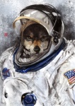 american_flag armor clothing flag headgear helmet looking_at_viewer male solo spacesuit united_states_of_america racoonwolf nasa canid canine canis mammal wolf 2012