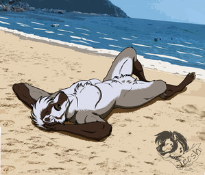 anthro beach belly brown_body brown_fur detailed_background facial_markings fur green_eyes grey_body grey_fur hands_under_head head_markings lying male markings muscular nude on_back outside sand sand_on_foot sea smile solo tuft water white_belly white_body white_fur jecsh burns_(badgerbone) american_badger badger mammal mustelid musteline absurd_res hi_res watermark