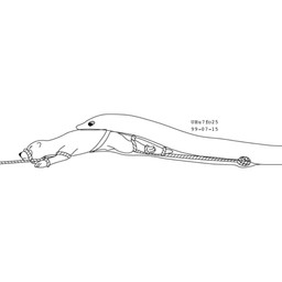 animal_genitalia bdsm bondage bound bound_prey duo eyes_closed feral genitals male male/male open_mouth oral_vore otter_tail restraints rope rope_bondage sheath simple_background vore white_background urbanhermit mammal mustelid otter reptile scalie snake 1999 1:1 black_and_white dated monochrome