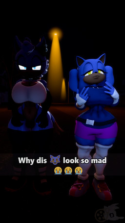 angry anthro bandage bandaged_arm belt blue_body blue_eyes blue_skin boots bottomwear brown_body brown_skin city city_background clothed clothing collar crying_emoji duo ear_piercing female footwear gesture gloves hair hand_gesture handwear legwear long_hair looking_at_viewer night panties piercing shirt shoes shorts socks standing stockings text topwear underwear yellow_eyes juicyducksfm sega sonic_the_hedgehog_(series) why_dis_look_so_mad_(meme) fan_character smiley_(juicyducksfm) tilver_the_wolf canid canine canis eulipotyphlan hedgehog mammal wolf 3d_(artwork) 9:16 digital_media_(artwork) hi_res meme source_filmmaker_(artwork)