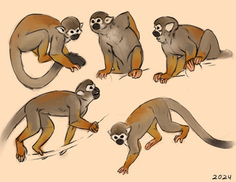 black_eyes black_tail_tip brown_body brown_fur climbing dipstick_tail feral fur grey_body grey_fur long_tail markings quadruped sitting solo tail tail_markings tan_body tan_fur walking alexpahomov cebid haplorhine mammal monkey new_world_monkey primate squirrel_monkey 2024 digital_drawing_(artwork) digital_media_(artwork) hi_res