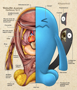>_< ambiguous_gender anatomy anthro blue_body dot_pupils eyes_closed front_view guts intestines looking_at_viewer lung mouth_closed organs paper_background simple_background solo stomach tail tan_background text twitter_handle white_sclera christopher_stoll nintendo pokemon pokenatomy generation_2_pokemon pokemon_(species) wobbuffet 2022 copyright_name digital_drawing_(artwork) digital_media_(artwork) english_text full-length_portrait hi_res portrait species_name