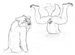 2019 animal_genitalia animal_penis anthro anus ass_up balls blush butt canid canine canine_genitalia canine_penis canis cliff_(unpopularwolf) comic digital_media_(artwork) duo elliot_(unpopularwolf) father_(lore) father_and_child_(lore) father_and_son_(lore) fur genitals handstand hi_res looking_away male mammal navel nude parent_(lore) parent_and_child_(lore) parent_and_son_(lore) penis penis_tip pubes rear_view sheath son_(lore) tail tail_motion tailwag unpopularwolf upside_down water wet wet_body wet_fur wolf