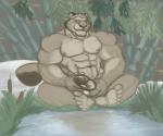 abs anthro ball_fondling balls bamboo bamboo_tree cattail_(plant) erection feet fondling genitals glans grass male masturbation muscular muscular_anthro muscular_arms muscular_male nipples nude pecs penis plant pond solo tree palladinthug cougar felid feline mammal 2011