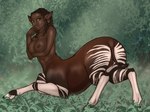 big_breasts breasts brown_eyes butt dark_body dark_skin ear_piercing ear_ring female jewelry nipples nude piercing presenting presenting_hindquarters ring_piercing solo stripes daf giraffid giraffid_taur mammal mammal_taur okapi okapi_taur taur absurd_res hi_res