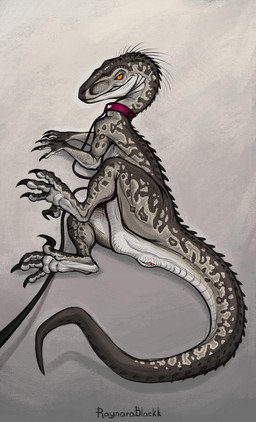 animal_genitalia aroused claws cloaca female feral genitals grey_background leash looking_at_viewer lying on_side quills_(anatomy) raised_leg sickle_claw simple_background smile solo spread_legs spreading tail tailbutt tapering_tail thick_tail toe_claws vulva deltablackk dinosaur dromaeosaurid prehistoric_species reptile saurischian scalie theropod velociraptor absurd_res digital_media_(artwork) hi_res