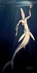 ambiguous_gender anthro clothing sea solo split_form underwear water molvno blue_shark fish marine merfolk requiem_shark shark taur hi_res