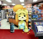 anthro belly breasts buying cleavage clothed clothing convenience_store female fur hair messy_hair midriff money navel nipple_outline nipple_piercing nipples panties photo_background piercing piercing_outline shirt solo tank_top tired tired_eyes topwear underwear yiffnotgif animal_crossing circle_k monster_energy nintendo isabelle_(animal_crossing) canid canine canis domestic_dog mammal shih_tzu toy_dog hi_res photography_(artwork)