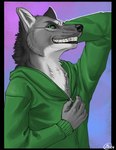 clothing fangs fur green_eyes grey_body grey_fur hoodie jacket looking_at_viewer smile smirk teeth topwear undressing_self zipper mariart thundergrey canid canine canis mammal wolf 2009