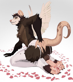 animal_genitalia animal_penis anthro backsack balls bodily_fluids canine_genitalia canine_penis clothed clothing crossdressing cum cum_on_feet cum_string cumshot ear_piercing ejaculation erection facial_piercing fangs feathered_wings feathers feet fur genital_fluids genitals hair hand_on_butt hands-free knot legwear lingerie looking_back male nipples nose_piercing nose_ring nude pawpads penis penis_backwards petals piercing ring_piercing rose_petals septum_piercing septum_ring simple_background sitting smile solo stockings tail teeth toes wings neisa american_opossum mammal marsupial digital_media_(artwork) hi_res