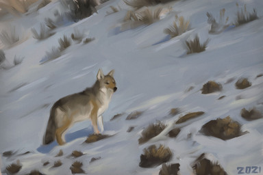 ambiguous_gender black_eyes black_markings black_nose black_tail brown_body brown_fur brown_grass brown_shrub feral fur grass grey_body grey_fur looking_at_viewer markings multicolored_body multicolored_fur plant quadruped shrub snow solo tail tan_body tan_fur white_body white_fur white_inner_ear alexpahomov canid canine canis coyote mammal 2021 3:2 digital_media_(artwork) digital_painting_(artwork) hi_res painting_(artwork)
