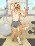 accessory anthro athletic athletic_anthro athletic_male athletic_wear ball blonde_hair blue_eyes bodily_fluids bottomwear bulge claws clothed clothing dialogue digitigrade dumbbell duo exercise_ball fur gym gym_bottomwear gym_shorts hair hair_accessory hairband hand_behind_head male male_focus mirror nipples open_mouth pawpads pink_nose shorts shorts_only smile solo_focus sweat tail talking_to_viewer tan_body tan_fur text tongue tongue_out topless trainer weights pig_(artist) bird_dog canid canine canis domestic_dog golden_retriever hunting_dog mammal retriever 2023 english_text hi_res