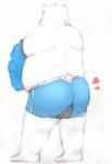 anthro butt clothing fur heart_symbol male overweight overweight_anthro overweight_male simple_background solo underwear undressing white_background white_body white_fur maron2475 utau shirane_kan bear mammal polar_bear ursine 2018