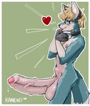 anthro balls big_penis bodily_fluids collar fluffy_penis genital_fluids genitals hair huge_penis hyper hyper_genitalia hyper_penis male penis precum solo wolfox09 kanehei canid canine canis fox hybrid mammal wolf hi_res nonbinary_(lore)