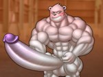 abs anthro big_muscles big_penis blush erection eyewear genitals grin huge_muscles huge_penis hyper hyper_genitalia hyper_muscles hyper_penis male muscular muscular_anthro muscular_male nude penis scar smile solo sunglasses vein veiny_muscles veiny_penis interval odd_taxi sekiguchi_(odd_taxi) bear mammal polar_bear ursine 4:3 hi_res