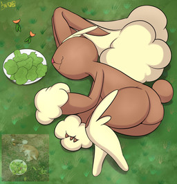 ambiguous_gender anthro brown_body brown_fur carrot feral food fur grass lettuce lying on_ground on_side plant solo vegetable an-tonio nintendo pokemon generation_4_pokemon lagomorph leporid lopunny mammal pokemon_(species) rabbit absurd_res hi_res reference_image