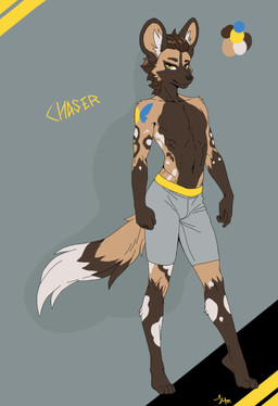 anthro athletic athletic_anthro athletic_male bottomwear clothed clothing countershading inner_ear_fluff male male_anthro reverse_countershading shorts simple_background solo tattoo topless topless_anthro topless_male tuft furwings tyler_f_dogglittle african_wild_dog canid canine mammal hi_res model_sheet
