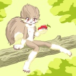 anthro biped blush breasts claws female food fruit nipples plant sitting smile solo tail tree wood pukao mammal rodent sciurid tree_squirrel 1:1