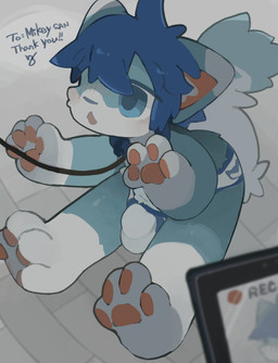 4_fingers 4_toes anthro blue_body blue_ears blue_eyes blue_hair blush briefs bulge camera chibi clothing collar detailed_bulge embarrassed feet fingers fluffy hair happy leash leash_towards_viewer leashed_collar male outside pawpads paws recording recording_video shy solo tail toes underwear young young_male n6 mikey_(mikey_fox) canid canine fox mammal absurd_res hi_res