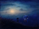 anthro blue_body clothing cloud footwear gloves grass handwear male outside plant red_clothing red_footwear red_shoes shoes sky solo tan_body white_clothing white_gloves white_handwear mylafox sega sonic_the_hedgehog_(series) sonic_the_hedgehog eulipotyphlan hedgehog mammal 4:3 signature