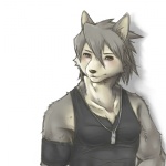 anthro biceps blush clothing dog_tags fur grey_body grey_fur grey_hair hair looking_at_viewer male muscular muscular_anthro muscular_male pecs shirt simple_background solo tank_top topwear white_background senpuuki-chan morenatsu kouya_(morenatsu) canid canine canis domestic_dog husky mammal nordic_sled_dog spitz 1:1