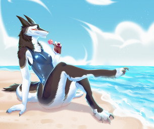 anthro arm_support beach black_body black_fur black_pawpads candy claws clothing day dessert food fur grey_claws holding_candy holding_food holding_lollipop holding_object lollipop looking_at_viewer male one-piece_swimsuit pawpads paws sand sea sitting sky snout solo swimwear tail water white_body white_fur yellow_eyes orca24a sergal 2023 colored digital_drawing_(artwork) digital_media_(artwork) hi_res shaded