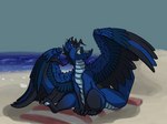 beach beach_towel blue_body blue_skin feathers feral fluffy_wings pawpads sand sea seaside tail towel water wings dumderg mythology dragon mythological_creature mythological_scalie scalie