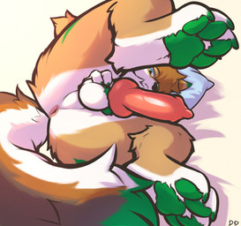 4_toes animal_genitalia animal_penis anthro anus balls canine_genitalia canine_penis claws erection feet foot_focus fur genitals hair knot male male_anthro nude pawpads paws penis pillow solo tail toe_claws toes ddgio canid canine canis coyote mammal 2024 digital_media_(artwork) hi_res