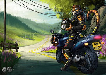 anthro armor black_bodysuit black_clothing black_nose black_skinsuit blue_sky bodysuit clothed clothing cloud day digitigrade facial_markings fur glistening glistening_eyes grass green_eyes head_markings head_tuft headgear helmet holding_armor holding_headgear holding_helmet holding_object male male_anthro markings motorcycle mouth_closed orange_body orange_fur outside plant rock skinsuit sky solo striped_body striped_face striped_fur striped_markings striped_tail stripes tail tail_markings tight_clothing tuft vehicle whiskers white_body white_fur hufnaar felid mammal pantherine tiger absurd_res hi_res
