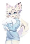 anthro black_body black_fur blue_clothing blue_eyes blue_topwear clothed clothing dipstick_ears ear_markings female fur hair holding_object holding_plushie inner_ear_fluff kemono multicolored_ears plushie simple_background solo topwear tuft white_background white_body white_fur white_hair bitterk4t mammal 2023 digital_drawing_(artwork) digital_media_(artwork) portrait three-quarter_portrait