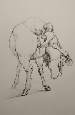 animal_genitalia animal_vulva anus big_butt bodily_fluids bound butt equine_anus equine_genitalia equine_vulva female feral genital_fluids genitals hair hooves looking_at_viewer looking_back open_mouth puffy_anus raised_leg raised_tail rear_view simple_background smile solo tail tail_tied teeth thick_thighs vulva white_background conditional_dnp tgt1512 equid equine horse mammal graphite_(artwork) hi_res monochrome painting_(artwork) sketch traditional_media_(artwork) traditional_painting_(artwork)